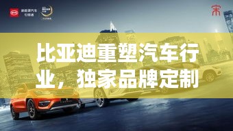 比亞迪重塑汽車行業，獨家品牌定制，開啟定制新紀元