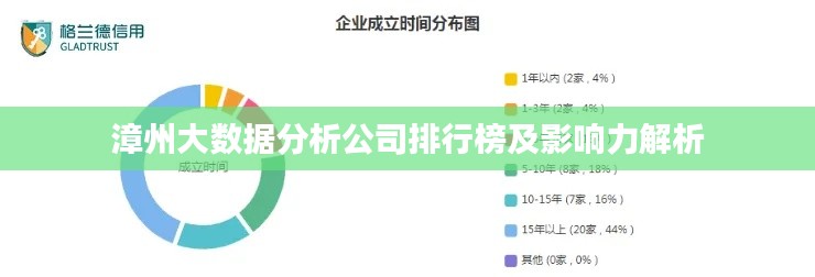 漳州大數據分析公司排行榜及影響力解析