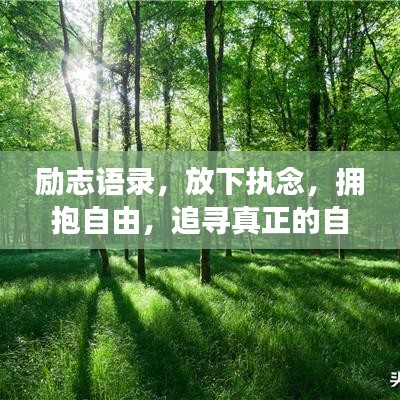 勵志語錄，放下執(zhí)念，擁抱自由，追尋真正的自我之路