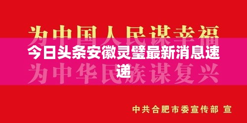 今日頭條安徽靈璧最新消息速遞