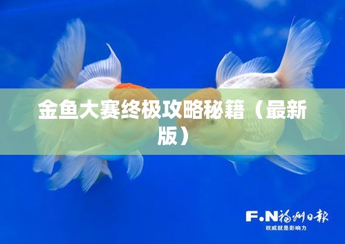 金魚大賽終極攻略秘籍（最新版）