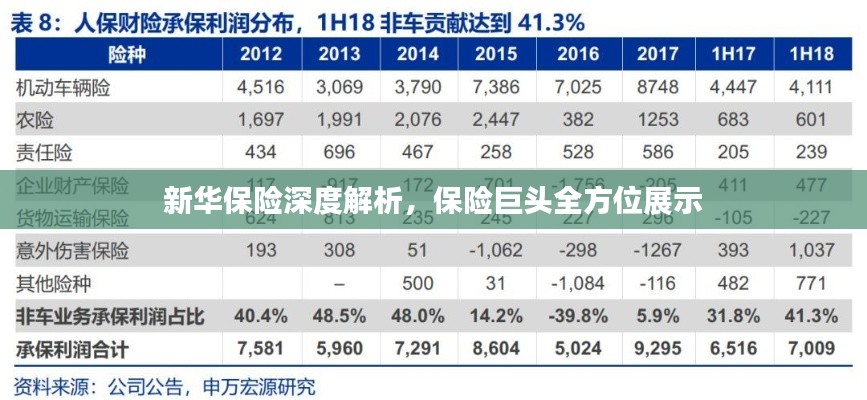 新華保險深度解析，保險巨頭全方位展示