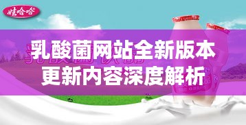 乳酸菌網站全新版本更新內容深度解析