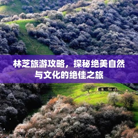 林芝旅游攻略，探秘絕美自然與文化的絕佳之旅