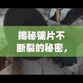 揭秘鋸片不斷裂的秘密，技術革新與材料科學的完美結合之道