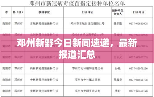 鄧州新野今日新聞速遞，最新報道匯總