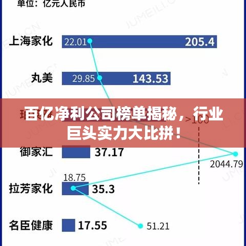 百億凈利公司榜單揭秘，行業(yè)巨頭實(shí)力大比拼！