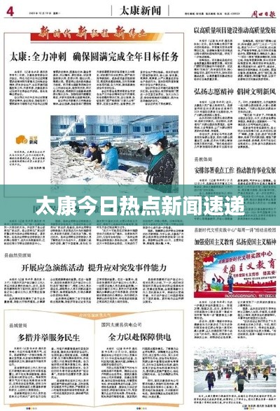 太康今日熱點新聞速遞