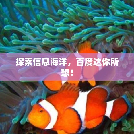 探索信息海洋，百度達你所想！