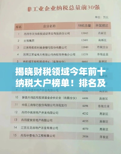 揭曉財(cái)稅領(lǐng)域今年前十納稅大戶榜單！排名及實(shí)力一網(wǎng)打盡