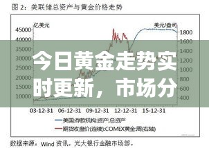 今日黃金走勢(shì)實(shí)時(shí)更新，市場(chǎng)分析與展望，最新報(bào)價(jià)揭秘