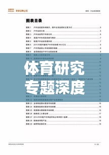 體育研究專題深度總結報告，洞悉精髓，引領行業新動向