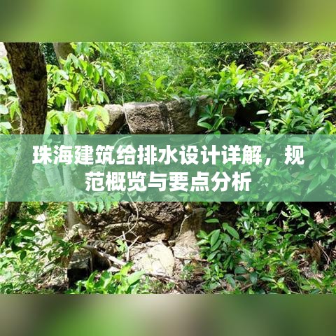 珠海建筑給排水設計詳解，規范概覽與要點分析