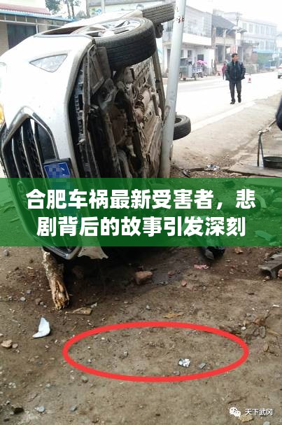 合肥車禍最新受害者，悲劇背后的故事引發(fā)深刻反思