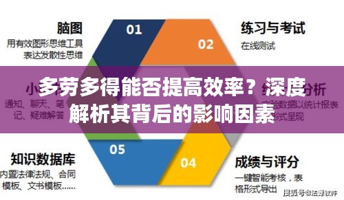 多勞多得能否提高效率？深度解析其背后的影響因素