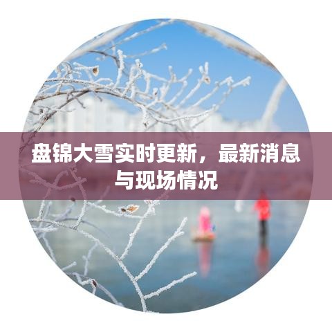 盤錦大雪實時更新，最新消息與現(xiàn)場情況