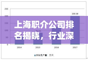 上海職介公司排名揭曉，行業(yè)深度分析與前景展望