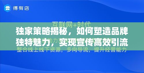 獨(dú)家策略揭秘，如何塑造品牌獨(dú)特魅力，實(shí)現(xiàn)宣傳高效引流？