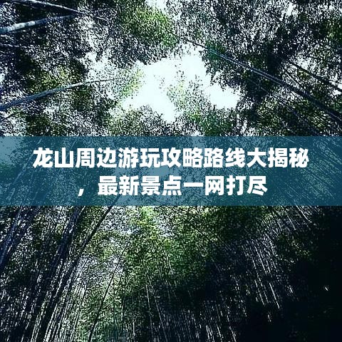 龍山周邊游玩攻略路線大揭秘，最新景點一網(wǎng)打盡