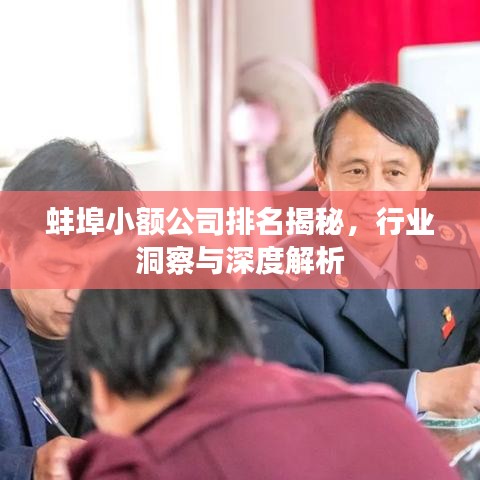 蚌埠小額公司排名揭秘，行業(yè)洞察與深度解析