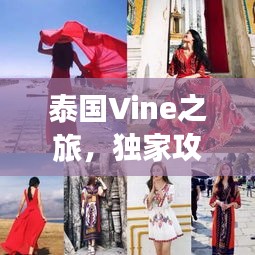 泰國Vine之旅，獨家攻略，帶你玩轉異域風情