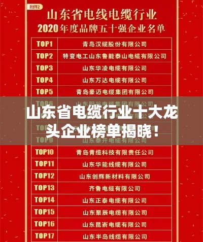 山東省電纜行業(yè)十大龍頭企業(yè)榜單揭曉！