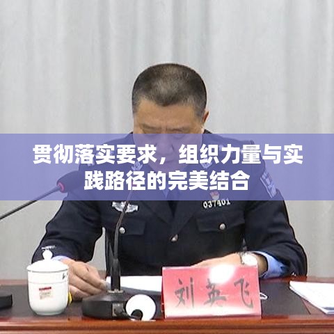 貫徹落實要求，組織力量與實踐路徑的完美結合