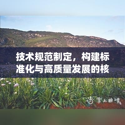 技術規(guī)范制定，構建標準化與高質量發(fā)展的核心路徑