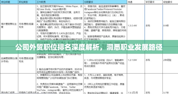 公司外貿職位排名深度解析，洞悉職業發展路徑