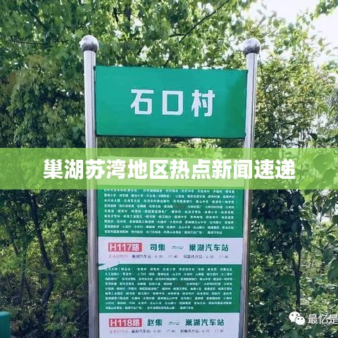 巢湖蘇灣地區(qū)熱點(diǎn)新聞速遞