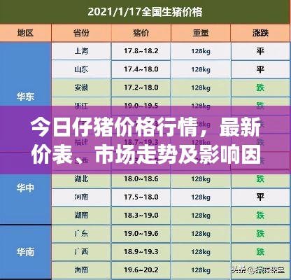 今日仔豬價格行情，最新價表、市場走勢及影響因素深度解析