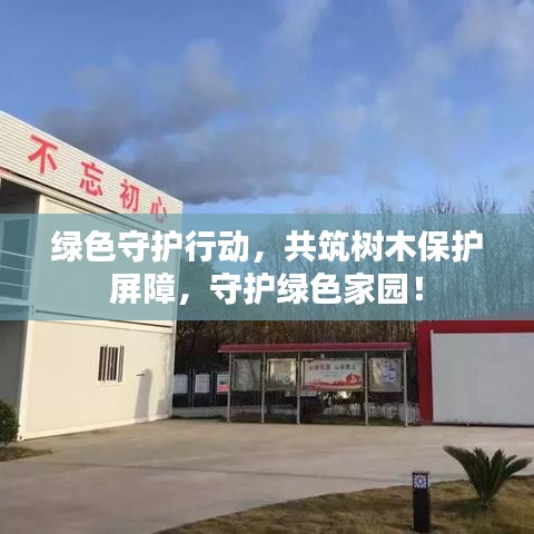 綠色守護行動，共筑樹木保護屏障，守護綠色家園！