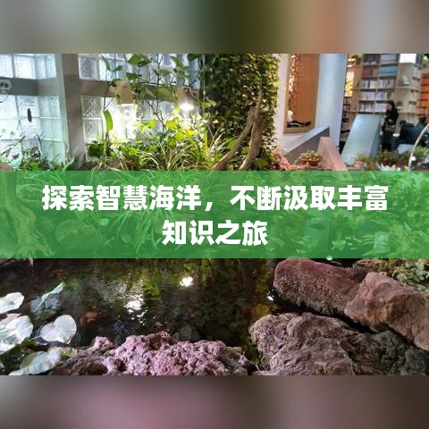 探索智慧海洋，不斷汲取豐富知識之旅