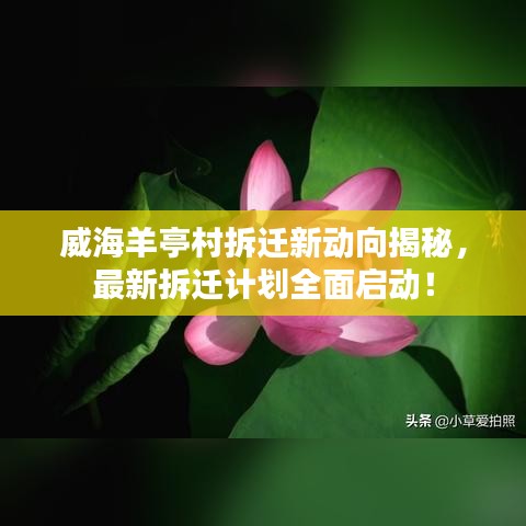 威海羊亭村拆遷新動(dòng)向揭秘，最新拆遷計(jì)劃全面啟動(dòng)！