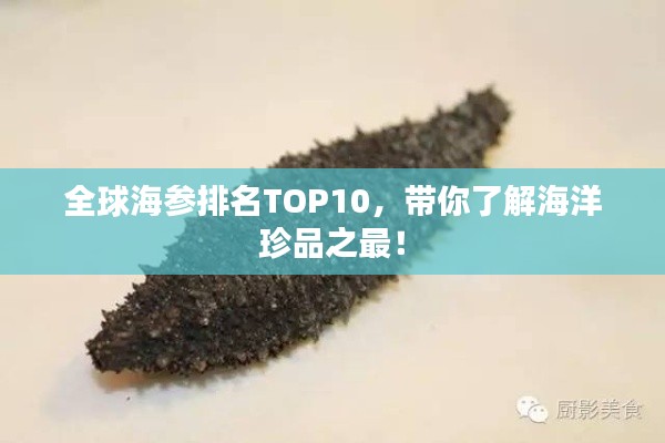 全球海參排名TOP10，帶你了解海洋珍品之最！