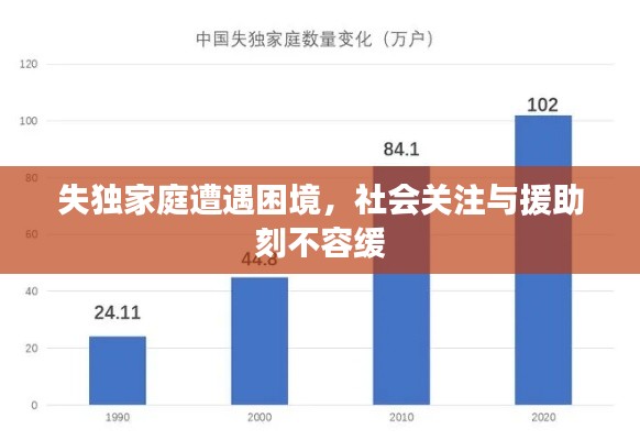 失獨家庭遭遇困境，社會關注與援助刻不容緩