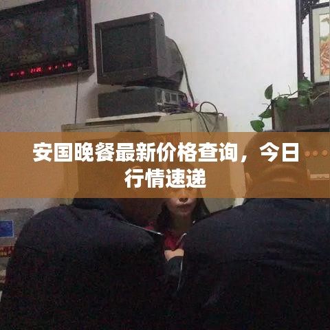 安國晚餐最新價格查詢，今日行情速遞