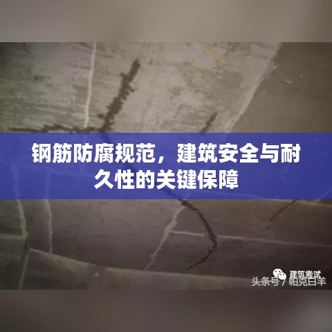 鋼筋防腐規范，建筑安全與耐久性的關鍵保障