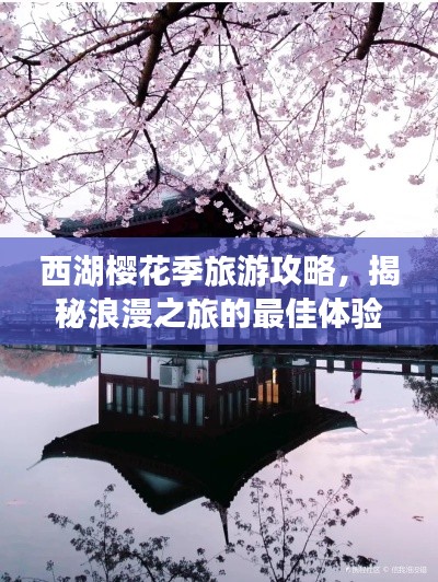 西湖櫻花季旅游攻略，揭秘浪漫之旅的最佳體驗(yàn)方式