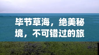 畢節草海，絕美秘境，不可錯過的旅游攻略！